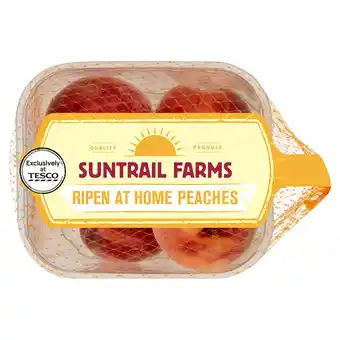 Tesco Suntrail farms ripen at home peach minimum 4 pack offer