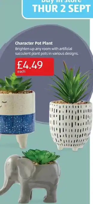 Aldi Character Pot Plant offer