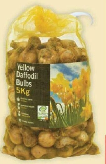 Lidl Daffodil Bulbs 5kg offer