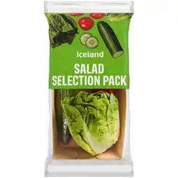 Iceland Iceland salad selection pack offer