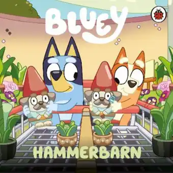 Asda Bluey: hammerbarn offer