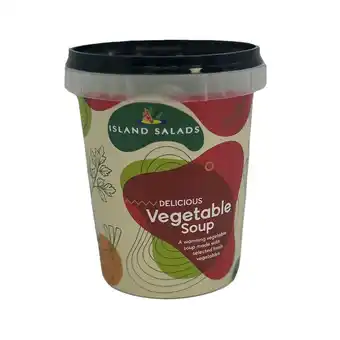 Iceland Island salads vegetable soup 450g offer