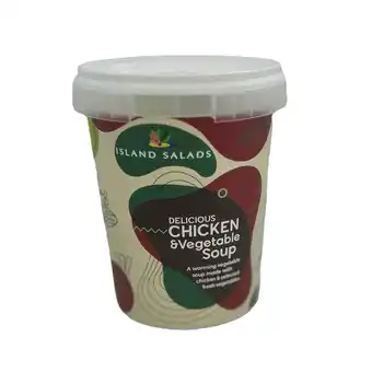 Iceland Island salads chicken and vegetable soup 450g offer