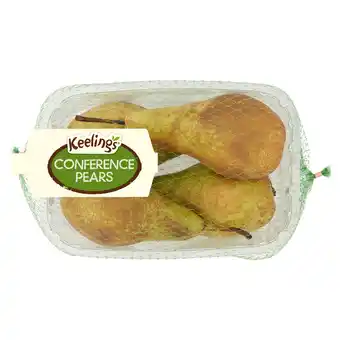 Iceland Iceland conference pears offer