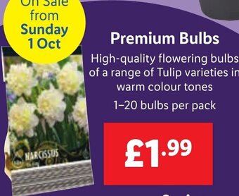 Lidl Premium Bulbs offer