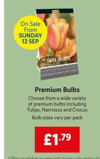 Lidl Premium Bulbs offer