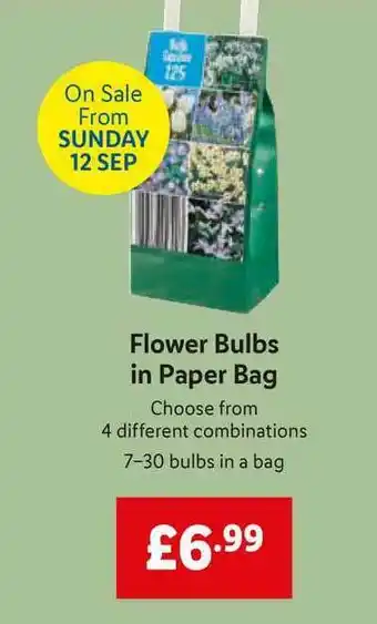 Lidl Flower Bulbs In Paper Bag offer
