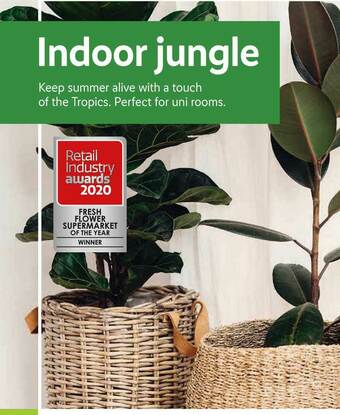 Lidl Fresh Flower Supermarket Of The Year offer