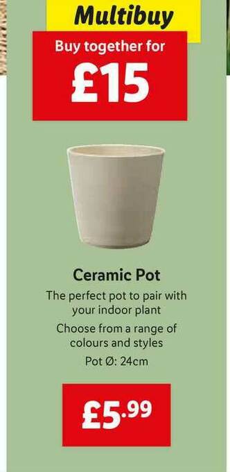 Lidl Ceramic Pot offer