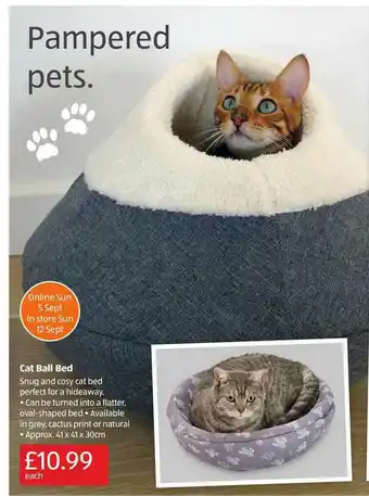 Aldi Cat Ball Bed offer