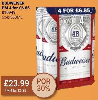 Bestway BUDWEISER offer