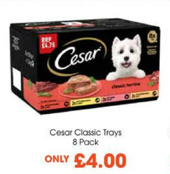 Centra Cesar Classic Trays 8 Pack offer