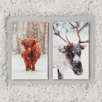 Morrisons Morrisons mini winter animals christmas cards offer