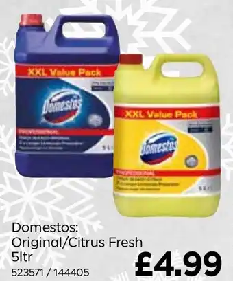 Bestway Domestos: Original/Citrus Fresh 5ltr offer