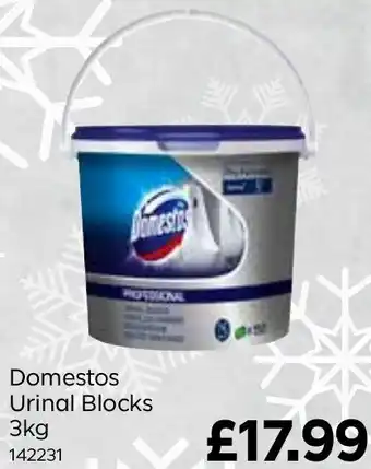 Bestway Domestos Urinal Blocks 3kg offer