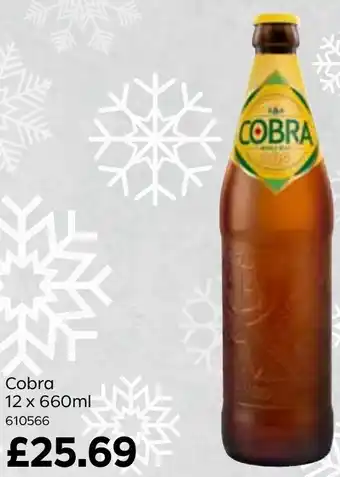Bestway Cobra 12 x 660ml offer