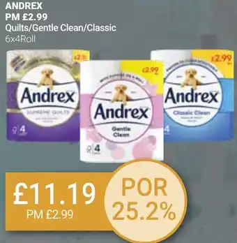 Bestway ANDREX offer