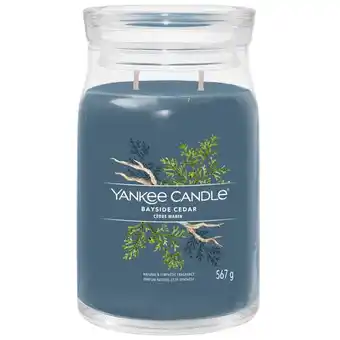 Fragrance Direct Yankee candle signature jar candle large jar bayside cedar 567g offer