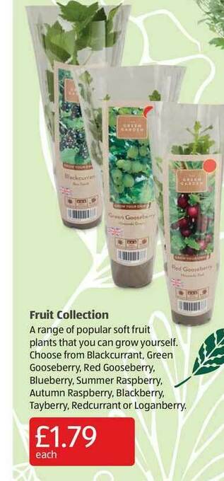 Aldi Fruit Collection offer