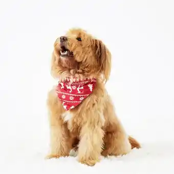 Patpat Patpat christmas reindeer and snowflake print family matching pajamas sets (flame resistant) offer