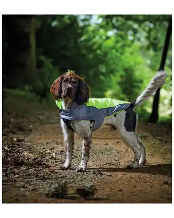 Aldi Pet collection neon dog coat offer