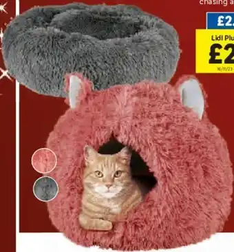 Lidl Pet Bed offer
