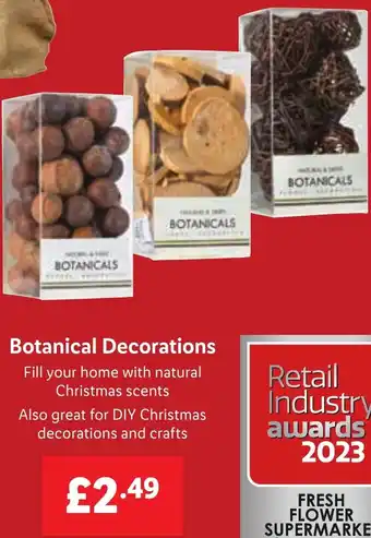 Lidl Botanical Decorations offer