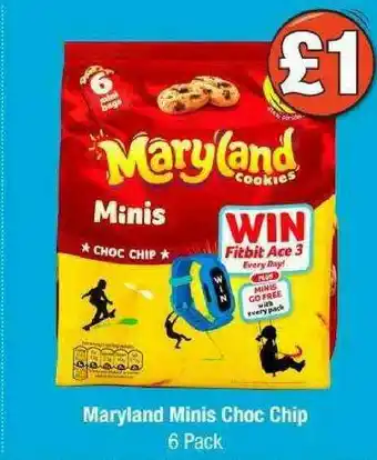 Maryland Minis Choc Chip