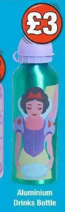 Poundland Aluminium Drinks Bottle offer