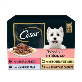 Asda Cesar deliciously fresh dog food pouches mixed selection in sauce 24 x offer