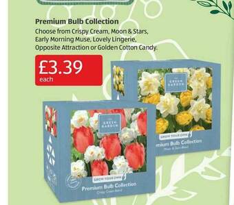 Aldi Premium Bulb Collection offer