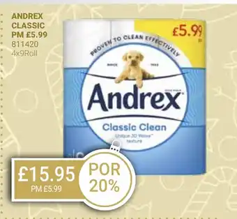 Bestway ANDREX CLASSIC offer