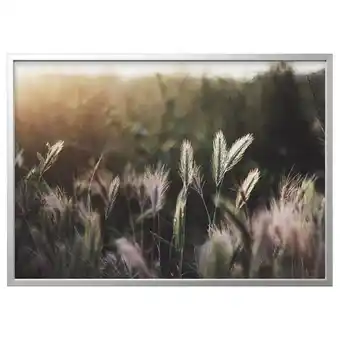 IKEA Björksta picture with frame, glowing sunset/aluminium-colour, 140x100 cm offer