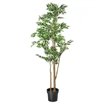 IKEA Fejka artificial potted plant, in/outdoor weeping fig, 21 cm offer