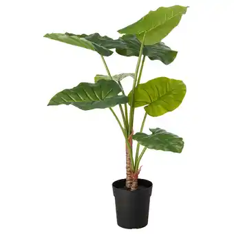 IKEA Fejka artificial potted plant, in/outdoor alocasia, 19 cm offer