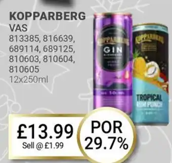 Bestway KOPPARBERG VAS offer