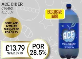 Bestway ACE CIDER offer