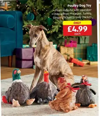 Aldi Poultry Dog Toy offer