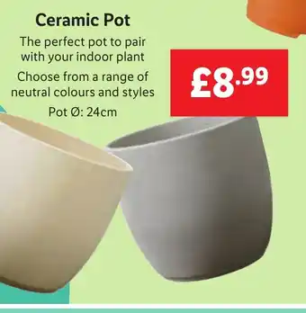 Lidl Ceramic Pot offer