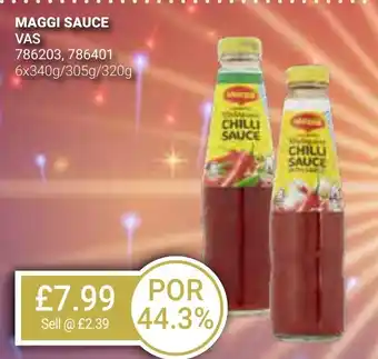 Bestway MAGGI SAUCE VAS offer