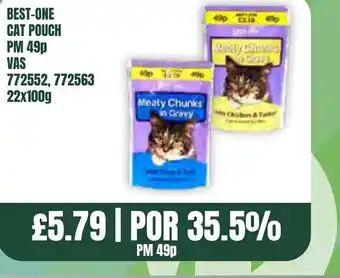 Bestway BEST-ONE CAT POUCH offer