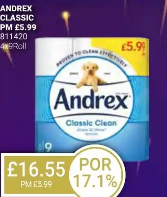 Bestway ANDREX CLASSIC offer