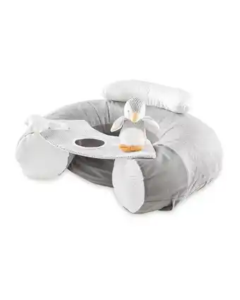 Aldi Nuby sit and play penguin offer