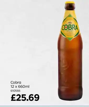 Bestway Cobra 12x660ml offer