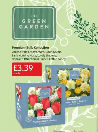 Aldi Premium Bulb Collection offer