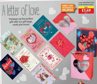 Aldi Large Valentine's Day Cards/Medium Bags offer