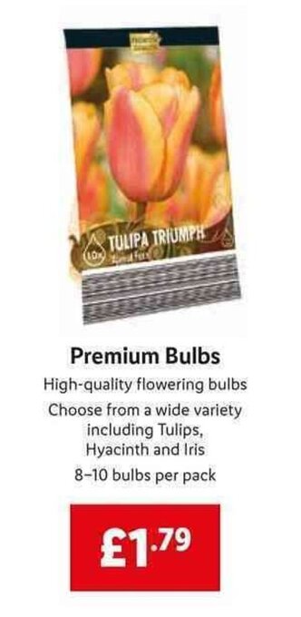 Lidl Premium Bulbs offer