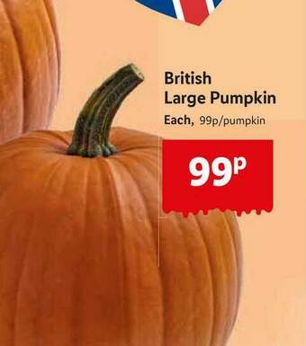 Lidl British Large Pumpkin offer