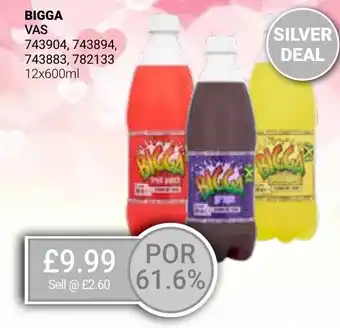 Bestway BIGGA offer