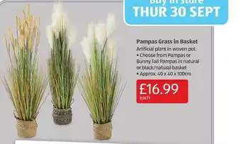 Aldi Pampas Grass In Basket offer